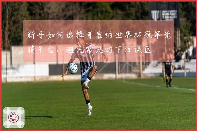新手如何选择可靠的世界杯冠军竞猜平台，避免常见的下注误区