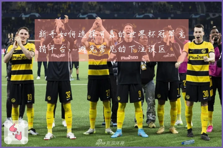 新手如何选择可靠的世界杯冠军竞猜平台，避免常见的下注误区