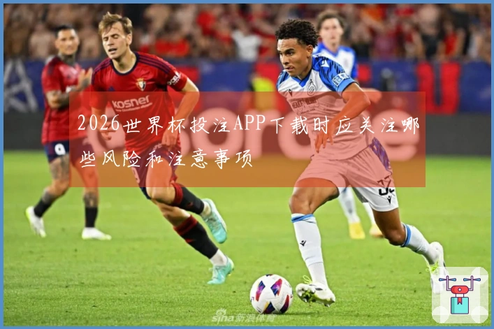 2026世界杯投注APP下载时应关注哪些风险和注意事项
