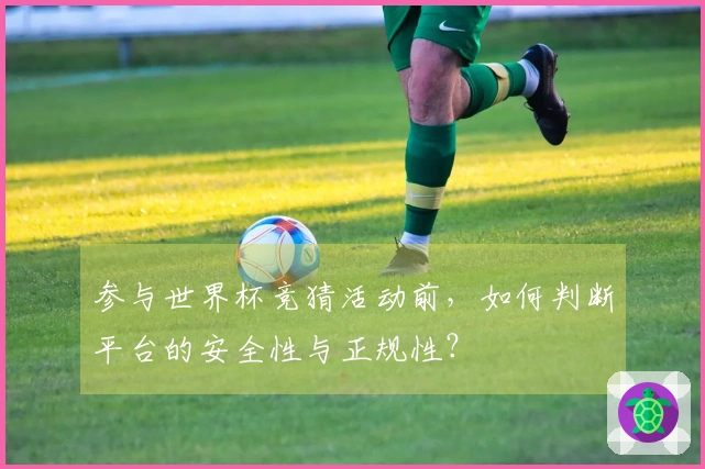 参与世界杯竞猜活动前，如何判断平台的安全性与正规性？