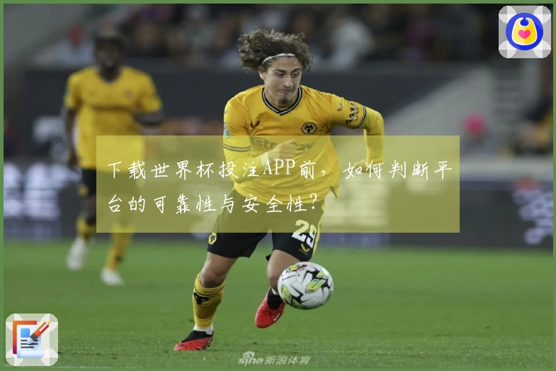 下载世界杯投注APP前，如何判断平台的可靠性与安全性？